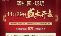 碧桂园爆料最新消息图片,揭秘项目进展与未来规划！”